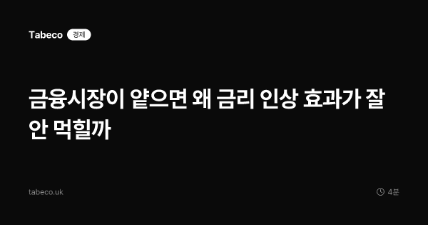 금융시장이 얕으면 왜 금리 인상 효과가 잘 안 먹힐까